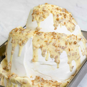 Variegato per Gelato Choco Granola al gusto Cioccolato Bianco e Granola al Miele Leagel 5 Kg