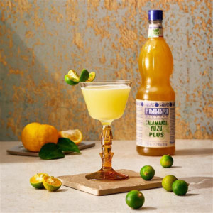 Sciroppo Concentrato per Granita Gusto Calamansi Yuzu Plus Mixybar Fabbri 1,3 Kg