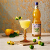 Sciroppo Concentrato per Granita Gusto Calamansi Yuzu Plus Mixybar Fabbri 1,3 Kg [d77660ec]