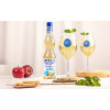 Sciroppo Concentrato per Granita Gusto Fiori di Sambuco Zero Calorie Senza Zuccheri Mixybar Fabbri 740 gr [d4faa56f]
