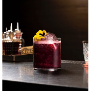 Sciroppo Concentrato per Granita Gusto Fiori e Bacche di Sambuco Mixybar Fabbri 1,3 Kg [e44bbc6a]