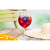 Sciroppo Concentrato per Granita Gusto Mirtillo Plus Mixybar Fabbri 1,3 Kg [c5d1ee1f]