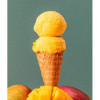 Pasta Frutta Concentrata al Gusto di Mango ideale per Gelato Dolci Leagel 3,5 Kg [c2d02d91]
