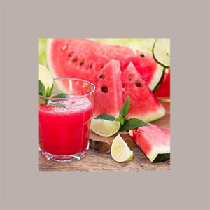 Sciroppo Concentrato per Granita Gusto Anguria Toschi 1,320 Kg