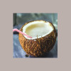 Sciroppo per Granita Piccolo Gusto Cocco Senza Glutine Toschi 740 gr [176344ae]
