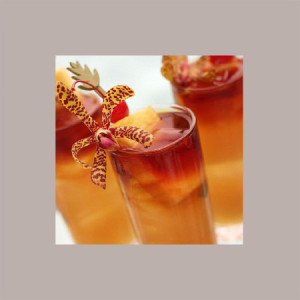 Sciroppo per Granita Piccolo Gusto Orzata Toschi 740 gr