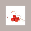 Vaso Ciliegie Rosse con Gambo Lungo allo Sciroppo TOSCHI 630 gr [006648fa]