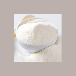 Panna in Polvere 42% Latte Arricchito in Materia Grassa 1 Kg [8e92e276]