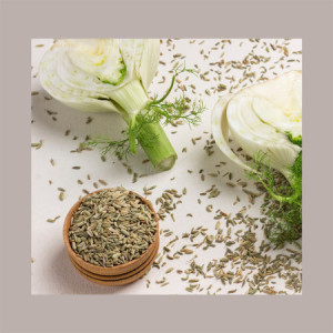 Semi di Finocchio 100% Ideale per Tisana Ingrediente Cucina Spezia 1 Kg [19e8026e]