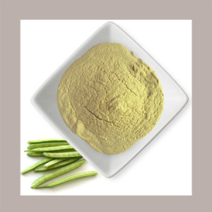 Farina Semi Guar E412 Addensante Stabilizzante Gelato 1 Kg