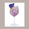 Sciroppo Concentrato per Granita Gusto Violetta Mixybar Fabbri 1,3 Kg [98251098]