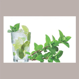 Sciroppo Concentrato per Granita Gusto Menta Glaciale Bianca Mixybar Fabbri 1,3 Kg [1f89c899]