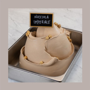 Pasta Crema Gusto Nocciola Imperiale Ideale per Gelato Dolci Leagel 5 Kg