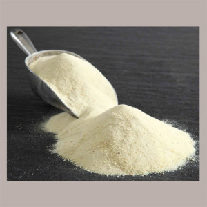 Latte di Filiera Scremato in Polvere Italiano Alta Qualità INALPI 1 Kg [460f198e]