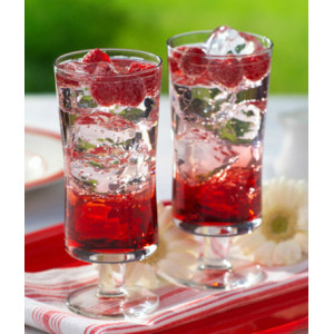 Sciroppo per Granita Gusto Mirtillo Zero Calorie Senza Zuccheri Toschi 740 gr [0c1d70a2]