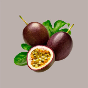 Sciroppo per Granita Gusto Frutto della Passione Maracuja Toschi 1,320 Kg