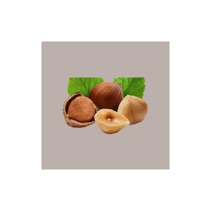 Sciroppo Concentrato per Granita Gusto Nocciola Plus Mixybar Fabbri 1,3 Kg