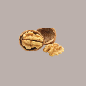 Pasta Gusto Noce ideale per Gelato Dolci Delipaste Fabbri 1,2 Kg