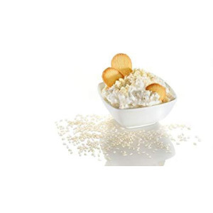 Preparato per Gelato Gusto Crema Chicchi di Riso LEAGEL 1,7 Kg [4383606c]