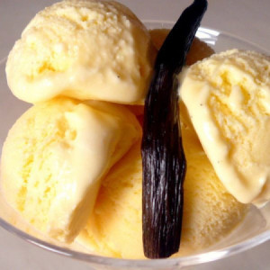 Pasta al Gusto di Vaniglia Francese ideale per Gelato Dolci Leagel 3,5 Kg