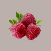 Polpa Purea di Frutta Gusto Lampone ideale per Gelato Smothies Fruit Cub3 Leagel 1,55 Kg [1f5b5b05]