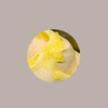 Variegato Limone con scorze Salsa per Gelato Dolci Leagel 2 Kg [84609326]