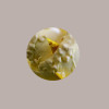 Variegato Limone con scorze Salsa per Gelato Dolci Leagel 2 Kg [5d46d02b]