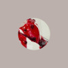 Variegato gusto Mirtillo Rosso con Pezzi Salsa per Gelato Yogurt Dessert Leagel 2 Kg [8c32e3f5]