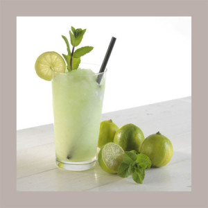 Sciroppo Concentrato per Granita Gusto Mojito Menta Lime Mixybar Fabbri 1,3 Kg [f3fba0fe]