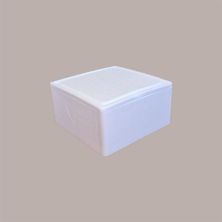Cassa Termica in Polistirolo per Asporto Torte Gelato Semifreddi 24x24H11cm 2 pezzi [344011b4]