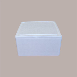 Cassa Termica in Polistirolo per Asporto Torte Gelato Semifreddi 24x24H11cm 2 pezzi [5f2bd4a3]