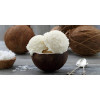 Easy Base per Gelato al Gusto di Cocco Plant Based Senza Derivati del Latte Preparato in Polvere Leagel 1,5 Kg [08d21758]