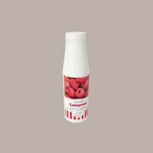 Topping Gusto Lampone Salsa Dolce per Gelati Dessert Yogurt Leagel 1 Kg