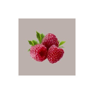 Topping Gusto Lampone Salsa Dolce per Gelati Dessert Yogurt Leagel 1 Kg [71354445]