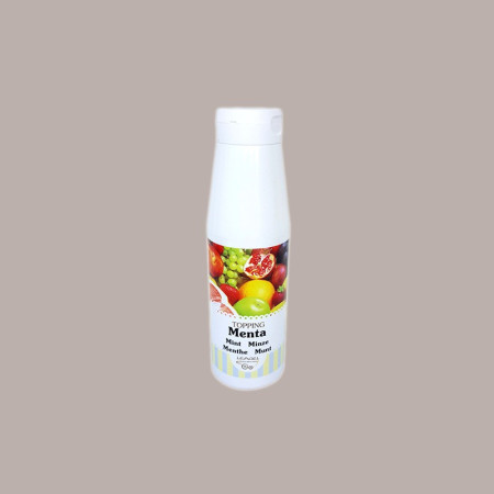 Topping al Gusto Menta Salsa Dolce per Gelato Dessert Yogurt Leagel 1 Kg [6ebd6de9]