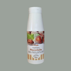 Topping al Gusto Nocciola Salsa Gourmet per Gelati Dessert Yogurt Leagel 1 Kg