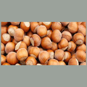 Topping al Gusto Nocciola Salsa Gourmet per Gelati Dessert Yogurt Leagel 1 Kg [06a6084e]
