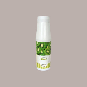 Topping Gusto Kiwi Salsa Dolce ideale per Gelati Dessert Yogurt Leagel 1 Kg [c4707b5b]