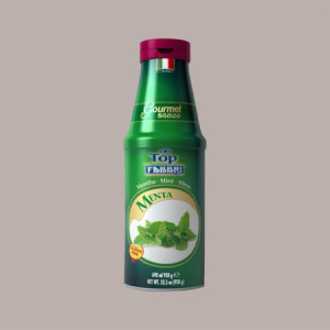 Topping al Gusto Menta Salsa Dolce Gourmet per Gelati Dessert Yogurt Fabbri 950 gr [6fcf504d]