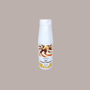 Topping Gusto Crema Catalana Salsa Dolce per Gelato Dessert Yogurt Leagel 1 Kg [6e644baa]