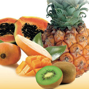 Topping al Gusto Tropical Salsa Dolce per Gelato Dessert Yogurt Leagel 1 Kg [079f1ce7]