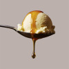Topping al Gusto Arancia Salsa Dolce per Gelato Dessert Yogurt Fabbri 950 gr [8c93df0d]