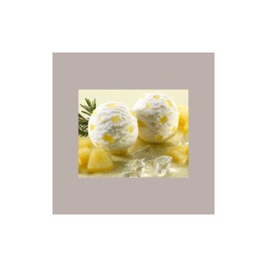 1,25 Kg Easy Gusto Ananas Preparato in Polvere ideale per Gelato Leagel [83019c4a]