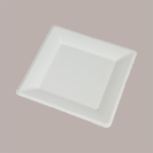 Piatto Biodegradabile Eco Quadrato 20x20 Carta Polpa Cellulosa 50 pezzi
