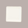 Piatto Biodegradabile Eco Quadrato 16x16 Carta Polpa Cellulosa 100 pezzi [09681624]