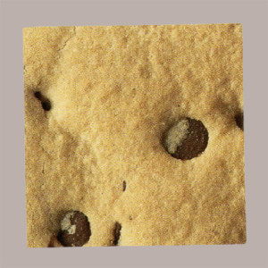 Biscotto Gelato Rotondo con Gocce di Cioccolato Cioccogel Break&Go 280 pezzi [2fe98630]