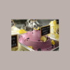 Easy al Gusto Mirtillo Nero Sambuco e Limone Preparato in Polvere per Gelato Leagel 1,2 kg [d09c75cd]