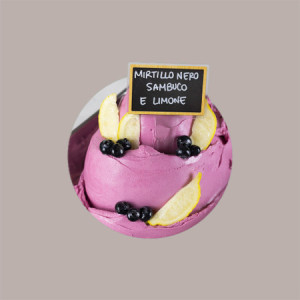 Easy al Gusto Mirtillo Nero Sambuco e Limone Preparato in Polvere per Gelato Leagel 1,2 kg [09ba36c0]