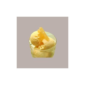 Easy Gusto Pera e Zenzero Vegan Preparato Polvere per Gelato Leagel 1,2 kg [c5666f3a]