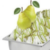 Easy Gusto Pera e Zenzero Vegan Preparato Polvere per Gelato Leagel 1,2 kg [772be920]